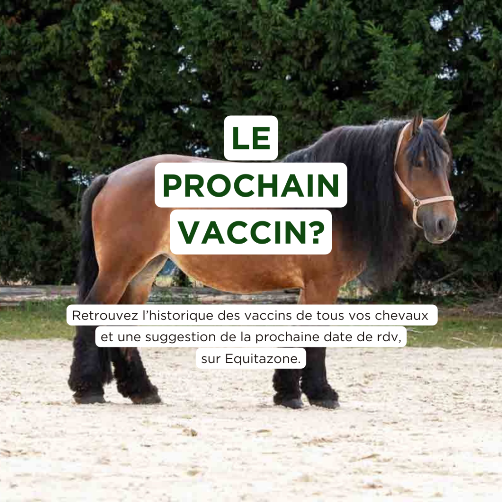 vaccin de mon cheval