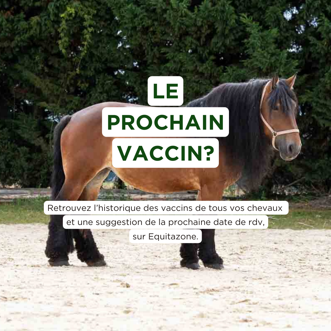 Comment se rappeler du prochain vaccin de mon cheval?