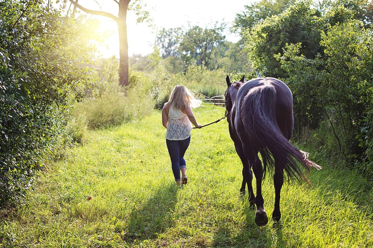 Cheval Magazine parle d’Equitazone dans un article!