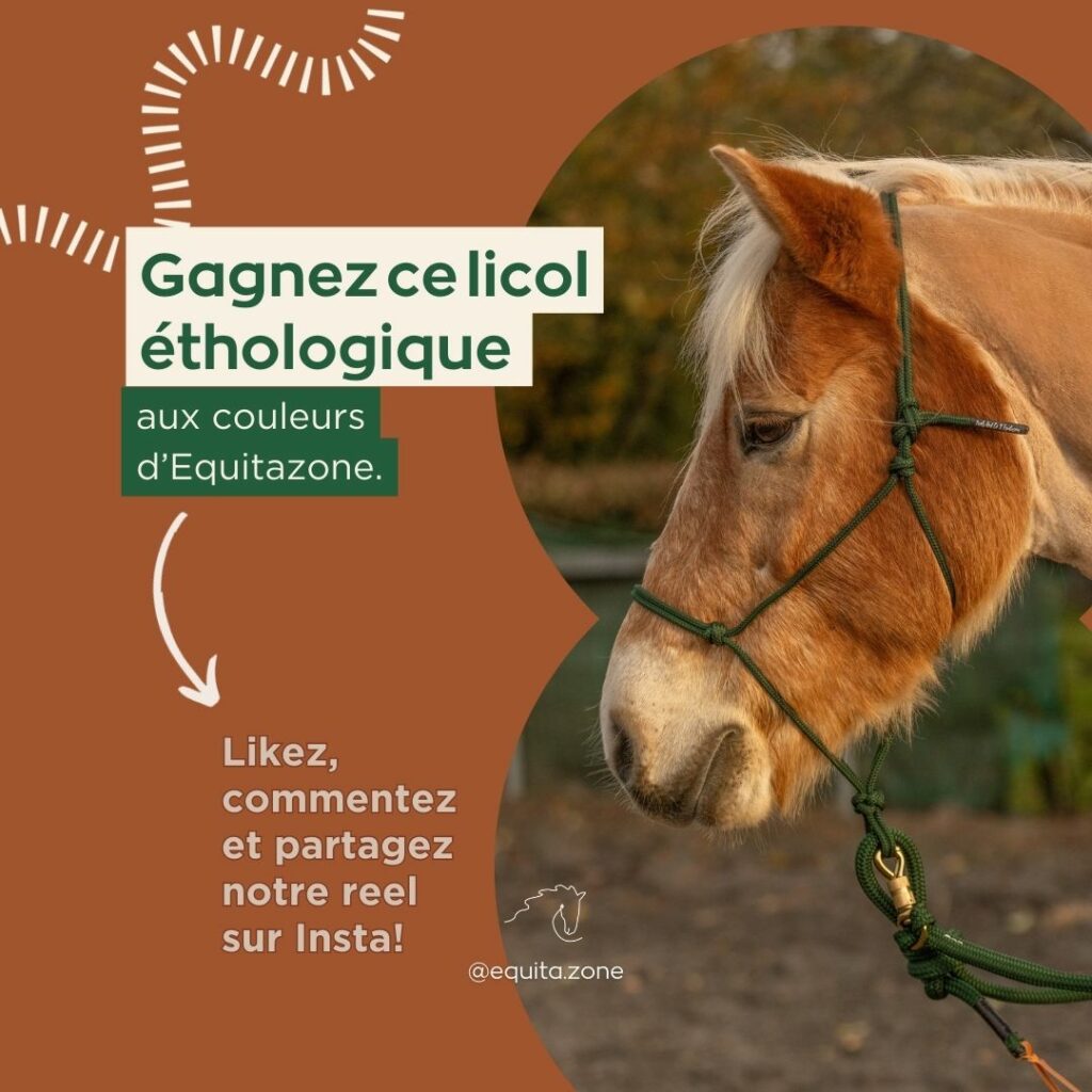 Gagnez un Licol Éthologique